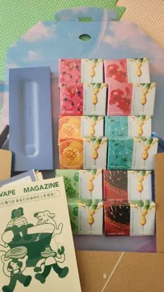 DR.VAPE 12個フレーバー6種類　モデル3 本体