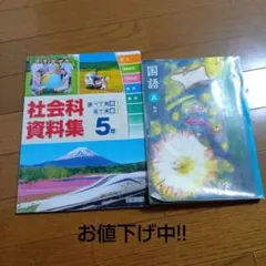 Item thumbnail for item e1dc306d-ff15-4091-be9c-fac93ebccb22