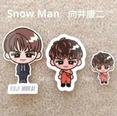 Snow Man 向井康二 すのチルステッカー CD購入初回特典シール 3枚 ⑥