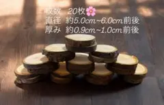 Item thumbnail for item 400d268d-cdb3-4da4-bd04-031a78ebc8e7