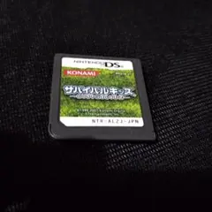 Item thumbnail for item c82cbb36-eb18-4d0e-b420-7771302b4d96