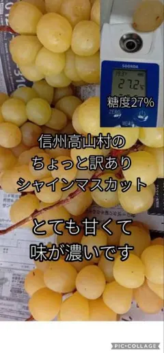 2026年最新】完熟シャインマスカットの人気アイテム - メルカリ