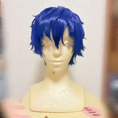 漣ジュン コスプレ ウィッグ