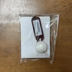 ハイキュー☆鍵チャームキーホルダー☆稲荷崎