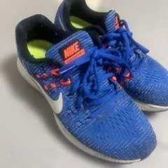 Item thumbnail for item 8119c8d1-02d6-4340-abdf-be3d31917135