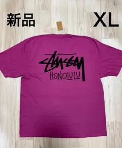 2026年最新】新品 ハワイ限定 stussyの人気アイテム - メルカリ