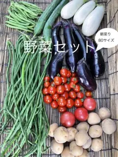 朝採り 野菜セット 80サイズ 新鮮野菜のサムネイル