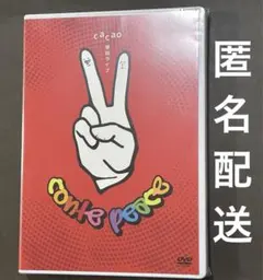 cacao 単独ライブ 「conte peace」 DVD - メルカリ