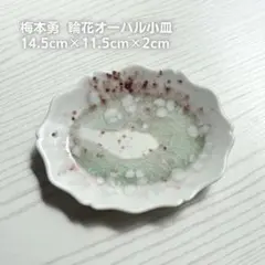 31：梅本勇 オーバル小皿 淡い水色 - メルカリ