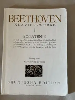 Item thumbnail for item 909fe864-93c0-4854-b390-f11db84da426