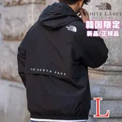 セール　韓国限定　ノースフェイス　VILAN EX JACKET　L