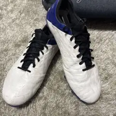 NIKE ティエンポレジェンド8 FG 25cm値下げ⭕️ 2025年最新】ティエンポ レジェンド 8 fgの人気アイテム - メルカリ