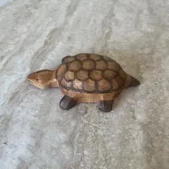 オストハイマー社　カメ