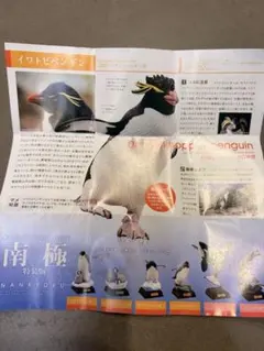 NATURE TECHNI COLOUR 南極 イワトビペンギン フィギュア
