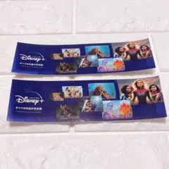 【新品未使用】Disney+ ディズニープラス ステッカー 2枚セットのサムネイル