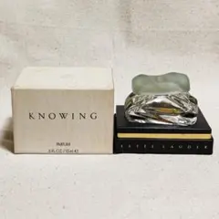 2026年最新】エスティローダー knowingの人気アイテム - メルカリ