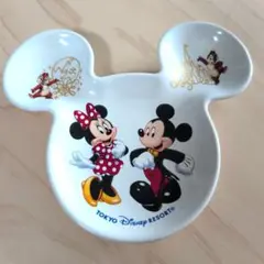 【美品】東京ディズニーリゾート ミッキー＆ミニー プレート