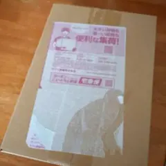 ポケモンカードゲーム テラスタルフェスex シュリンク付き　新品未開封　1BOX