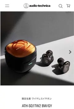 ほぼ半額！！！オーディオテクニカ　限定生産　ATH-SQ1TW2 GY