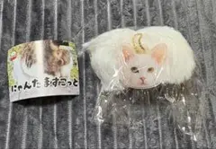 2025年最新】にゃんたまの人気アイテム - メルカリ