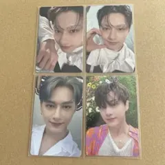 sector 17 トレカ ジュン seventeen