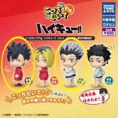 ハイキュー こっちむいてFig.