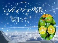 choro様専用　シークヮーサー　約60個〜　小粒　青切り　農薬不使用　柑橘類