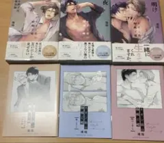 ネオン街の蜘蛛と蝶　小冊子付新装版　全3巻セット