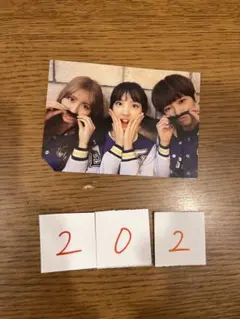 専用につき購入不可