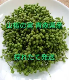 終了間近！送料込み！青森県産 実山椒 ☆採れたて100g+増量中 ☆値引き可のサムネイル