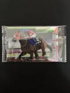 サラブレッドホースコレクション　フォーエバーヤング