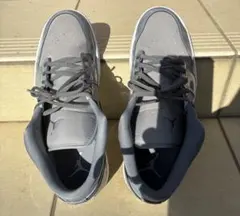 Item thumbnail for item 335be0f4-d362-45fa-a9fd-dceb93f7752d