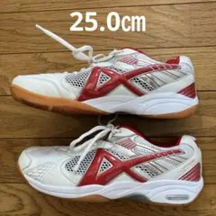 中古品　バレーボールシューズ　25.0㎝のサムネイル