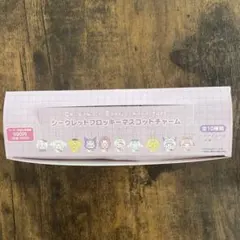 ちいかわ サンリオ シークレットフロッキーマスコットチャーム 全8種