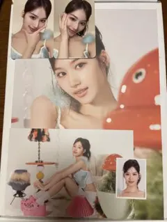 TWICE シーグリ 2025 Collector サナ