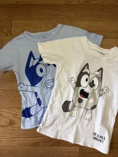 Craftxx様 リクエスト 2点 まとめ商品