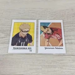 ハイキュー　キャラポトレ2 月島蛍　山本猛虎