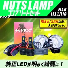 RHF-161Y 角型ハロゲンフォグランプ 黄 12V55W 1個だけ - メルカリ