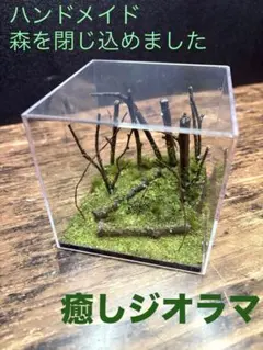 森のジオラマ キューブケース入り ハンドメイド