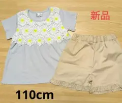 Item thumbnail for item 2f08c8f3-3865-463b-97c9-38aeb819bc8f