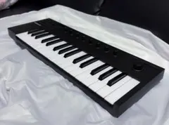 Item thumbnail for item 9fecb572-e6a5-4f2d-8a41-0787fc3a5f79