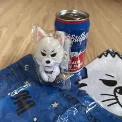 Item thumbnail for item 06293178-2765-474c-b30d-246e81ad9eb5