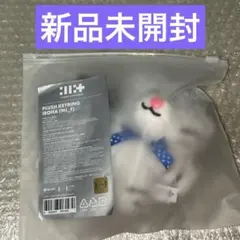 公式 ILLIT 1周年 PLUSH キーリング イロハ - メルカリ
