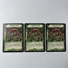 メルカリ便　シビレアシダケ　プロモ　初期枠　旧枠　4枚 メルカリ便 シビレアシダケ プロモ 初期枠 旧枠 4枚 2006 - メルカリ