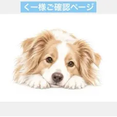＊くー様のご確認用です＊