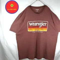 【美品　海外古着】Wrangler　ビックサイズ　ラングラー　ビックシルエット