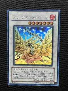 PSA10 まとめ売り ホログラフィックレア ブラックマジシャンガール ホロ psa10」の激安通販 | magi