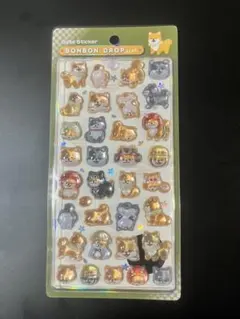【匿名発送】柴犬 ボンボンドロップシール　和柄　クーリア　正規品
