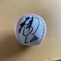 新垣渚 福岡ダイエーバンクホークス サインボール ARAKAKI 背番号18
