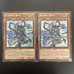 2026年最新】青き眼の賢士 シークレット shviの人気アイテム - メルカリ